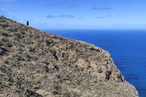Tenerife: Anaga guided Hike – Coast & Laurel Forest