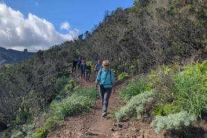 Tenerife: Anaga guided Hike – Coast & Laurel Forest
