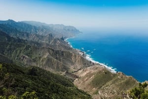 Tenerife: Anaga guided Hike – Coast & Laurel Forest