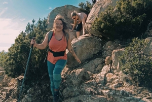 Tenerife: Hike Above Masca in Enchanted Forest with Pick-up