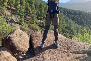 Tenerife: Hike Above Masca in Enchanted Forest with Pick-up