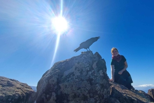 Tenerife: Hike Above Masca in Enchanted Forest with Pick-up