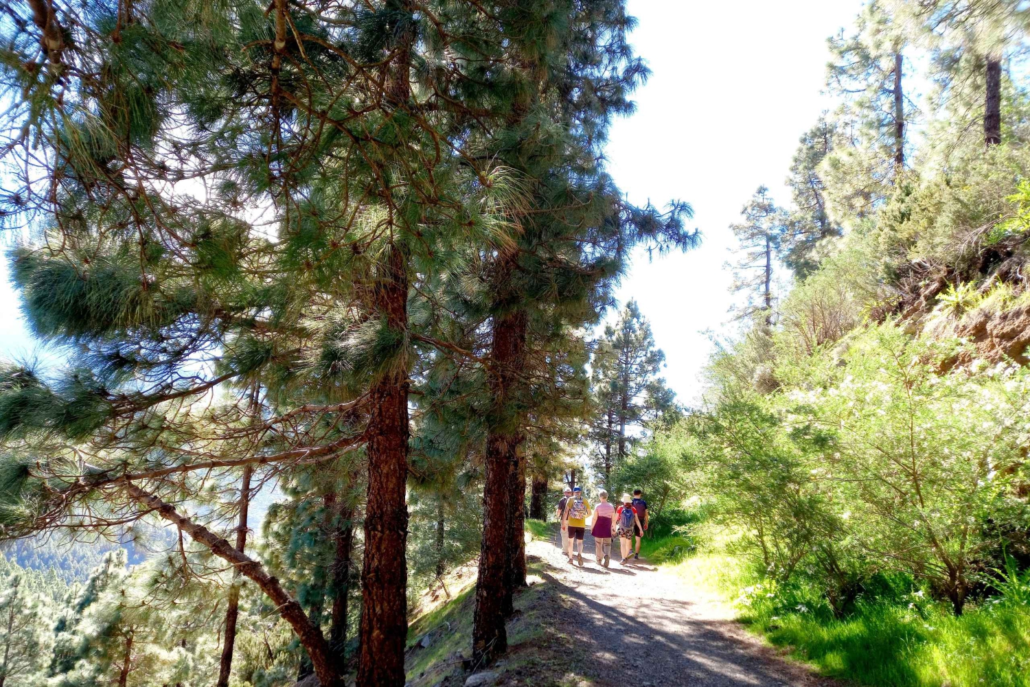 Tenerife: Wandelen boven het dorp Masca