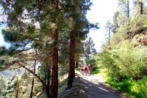 Tenerife: Hiking Above the Village of Masca