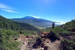 Tenerife: Wandelen boven het dorp Masca