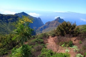 Tenerife: Wandelen boven het dorp Masca