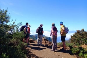 Tenerife: Wandelen boven het dorp Masca