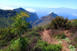 Tenerife: Wandelen boven het dorp Masca