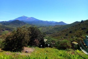 Tenerife: Wandelen boven het dorp Masca
