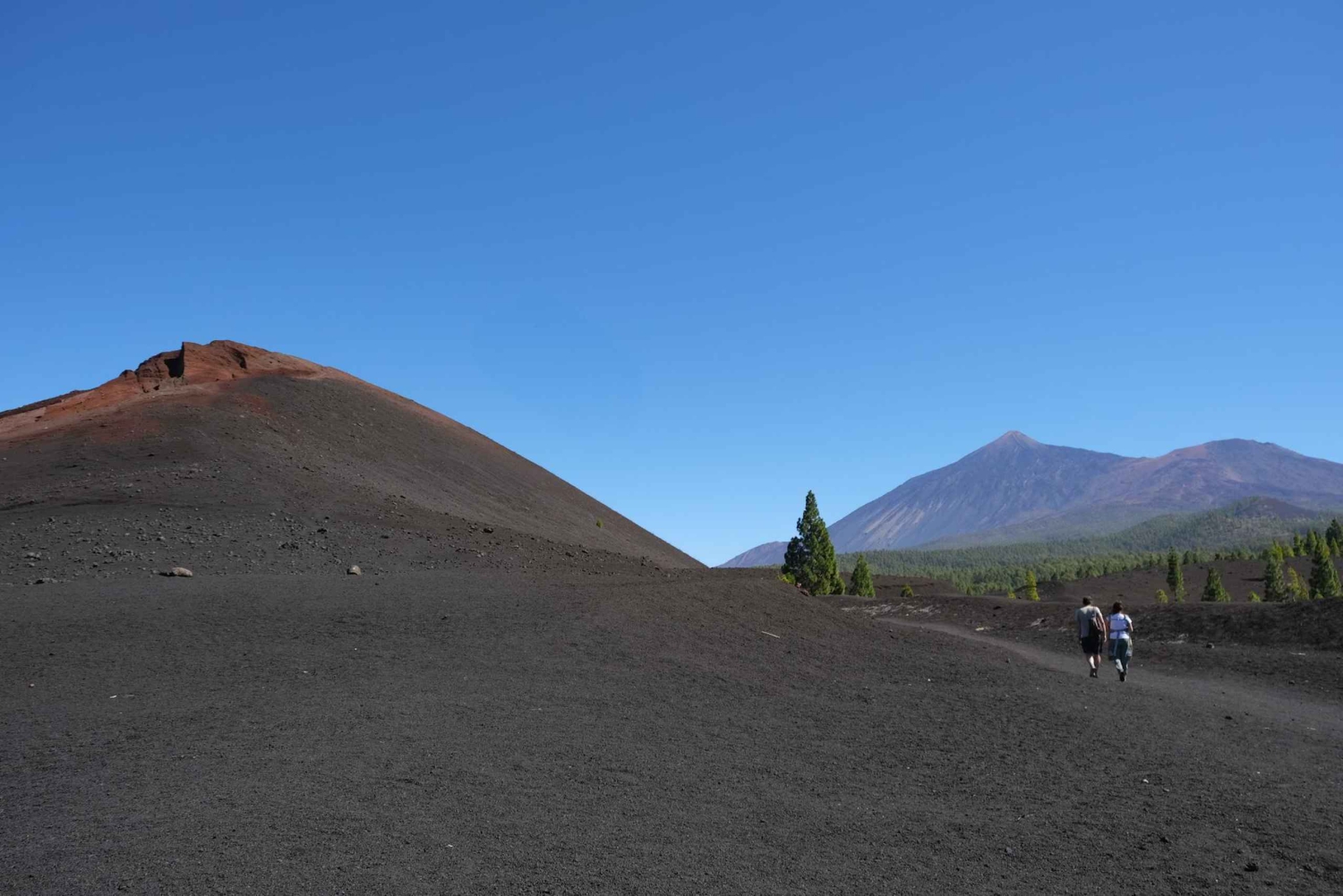 Tenerife : Sentier entre les volcans dans la Réserve Naturelle du Chinyero