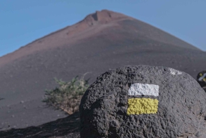 Tenerife : Sentier entre les volcans dans la Réserve Naturelle du Chinyero