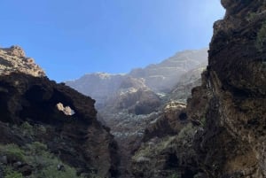 Santiago del Teide: Excursión guiada de senderismo de día completo al Cañón de Masca