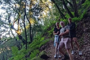 Tenerife: Tour a piedi sopra Masca e la Foresta Incantata