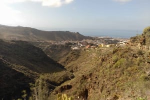 Tenerife Hiking Tour: Hell Ravine & Beach