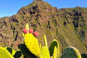 Tenerife: Hiking Tour in Anaga Mountains & Enchanted Forest