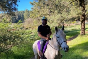 Tenerife: experiencia a caballo en el bosque