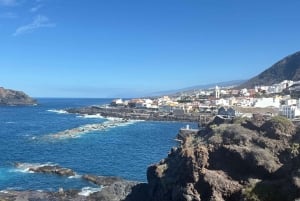 テネリフェ島：イコー・デ・ロス・ビノス、ガラチコ、グアチンチェツアー