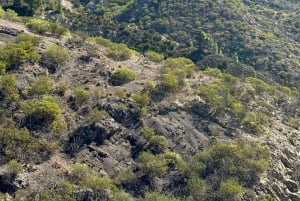 テネリフェ島：イコー・デ・ロス・ビノス、ガラチコ、グアチンチェツアー