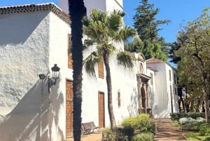 テネリフェ島：イコー・デ・ロス・ビノス、ガラチコ、グアチンチェツアー