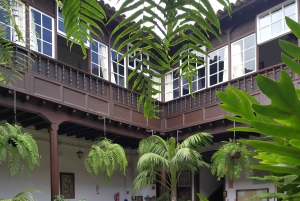 Tenerife: Icod de los Vinos Guided Walking Tour