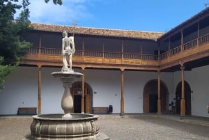 Tenerife: Icod de los Vinos Guided Walking Tour
