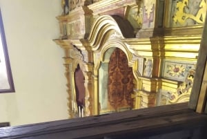 Tenerife: Icod de los Vinos Guided Walking Tour