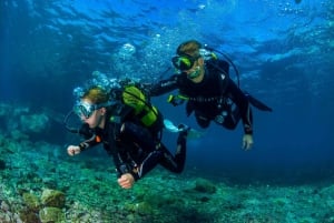 Tenerife: Introductory Dive for Cruise Ship Passengers