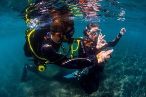 Tenerife: Introductory Dive for Cruise Ship Passengers