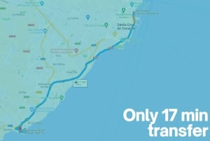 テネリフェ島：クルーズ船の乗客向けの入門ダイビング