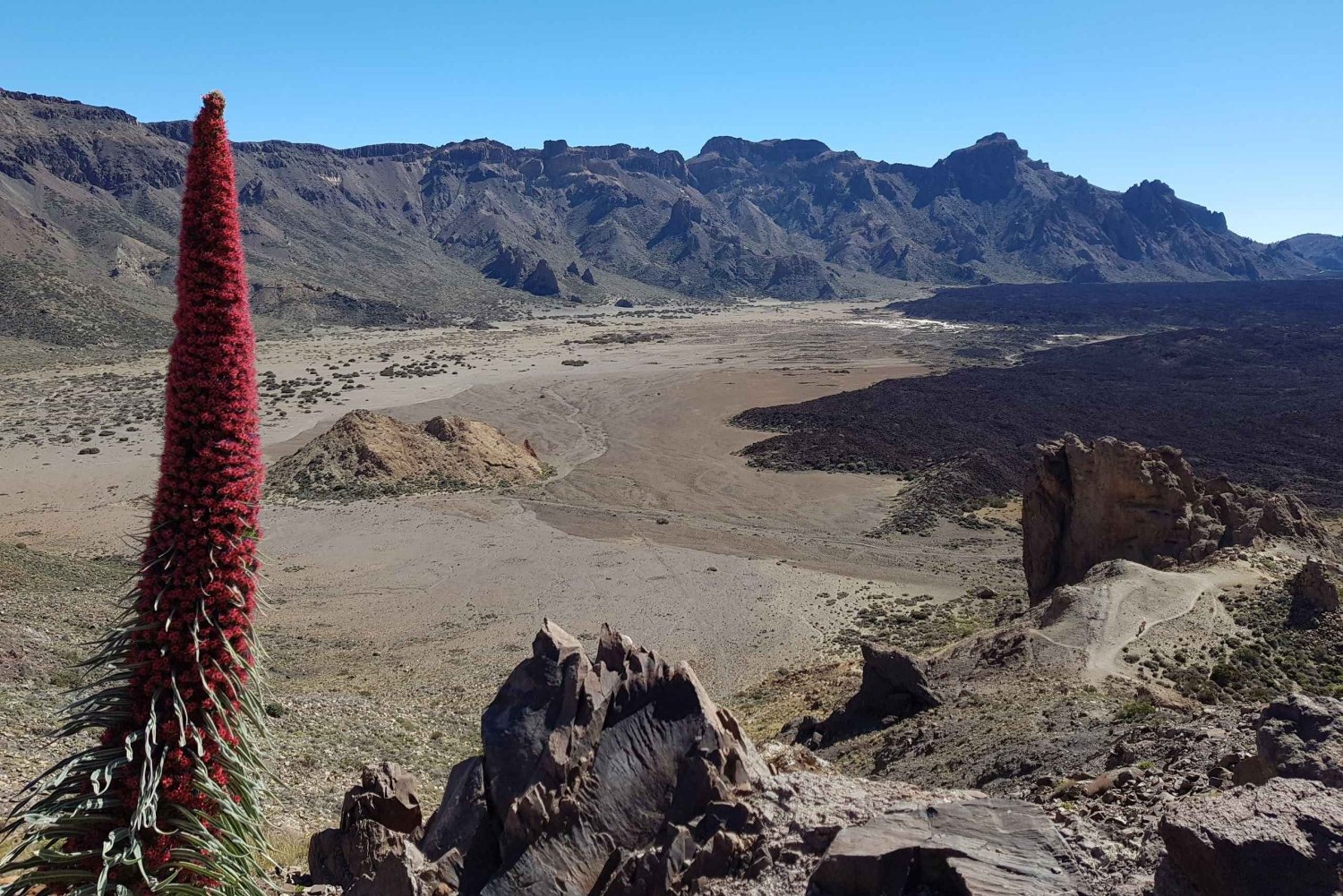 Tenerife: Island Tour with Teide Volcano and Lunch
