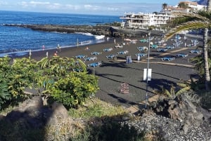 Tenerife: Island Tour with Teide Volcano and Lunch