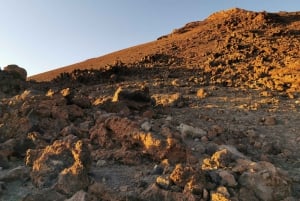 Tenerife: Island Tour with Teide Volcano and Lunch