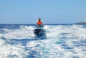 Tenerife: Jet Ski Ocean Safari with Optional Transfer