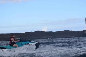 Tenerife: Jet Ski Safari South Coast Free Pick Up