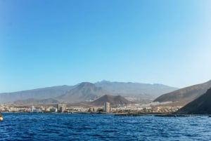 Teneriffa: Tenerife: Jet Ski Tour with Optional Quad Trip