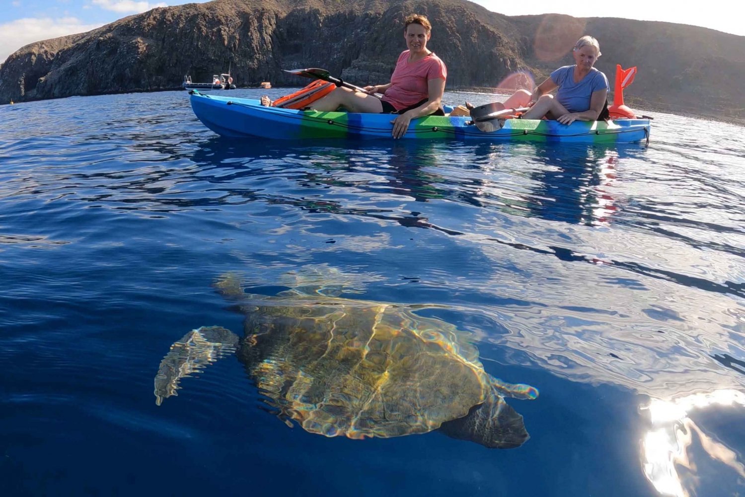 Tenerife: Kayak and Snorkel with Turtles