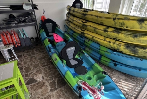 Tenerife: Kayak and Snorkel with Turtles