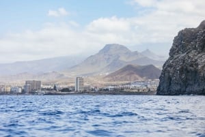 Tenerife: Safari en Kayak y Snorkel con Tortugas Marinas