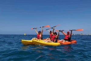 Tenerife: Kayak Safari and Sea Turtle Snorkeling