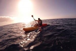 Tenerife: Kayak safari with Snorkeling, All Inclusive