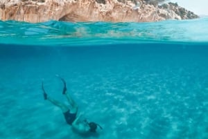 Tenerife: Snorkeling and Kayak with marine life in Palm Mar