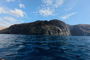 Tenerife: Kajak-havsafari med snorkling og snacks