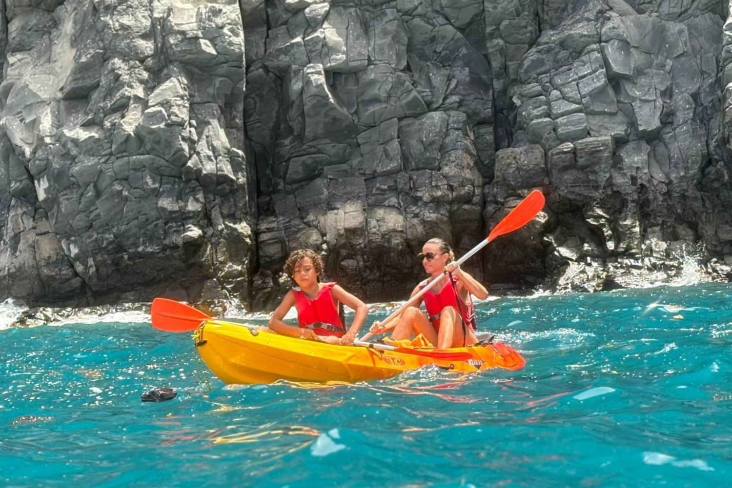 Tenerife: Kayak e Snorkeling, Osservazione della fauna marina