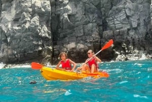 Tenerife: Kayak e Snorkeling, Osservazione della fauna marina