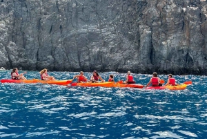Tenerife: Kayak e Snorkeling, Osservazione della fauna marina