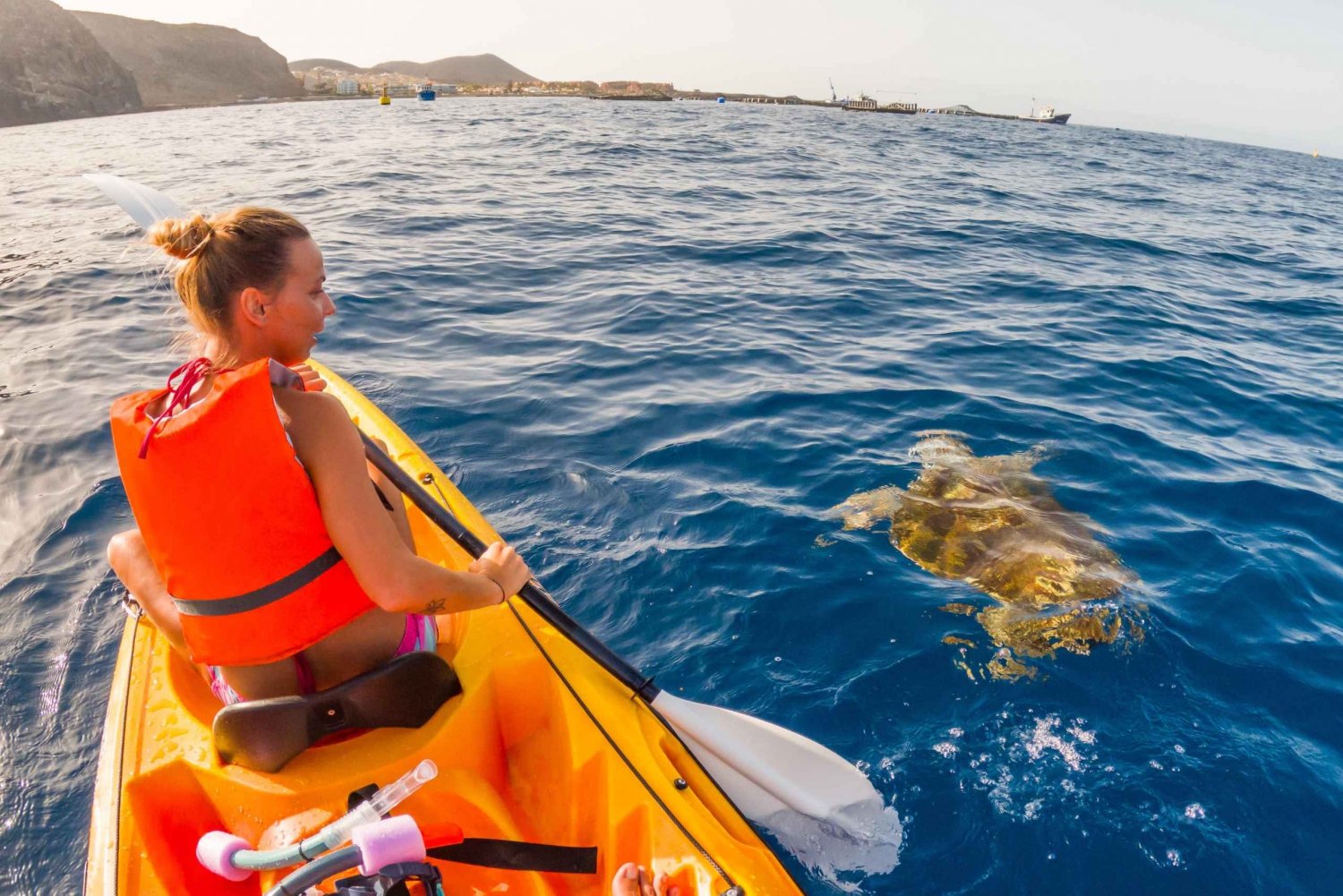 Teneriffa: Tenife: Kajakki- ja snorkkelikierros - Pienet ryhmät