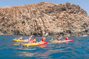 Tenerife: Excursión en Kayak y Snorkel - Grupos reducidos