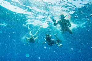 Tenerife: Excursión en Kayak y Snorkel - Grupos reducidos