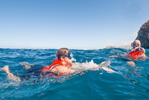Tenerife: Excursión en Kayak y Snorkel - Grupos reducidos