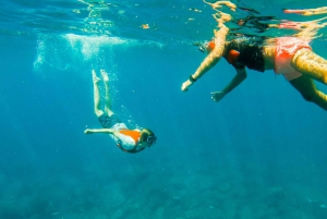 Tenerife: Excursión en Kayak y Snorkel - Grupos reducidos